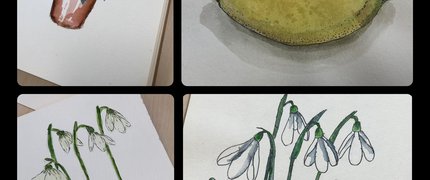 Four pieces of watercolour artwork in a collage of photographs. There are two sketches of snowdrops, a lemon, and potted flowers.