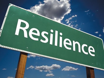 resilience