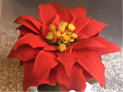 S Evans Sugarcraft Poinsettias.png