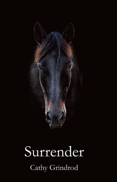 image - surrender front cover