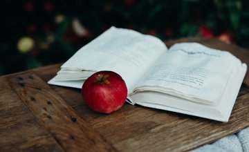 Apple and book