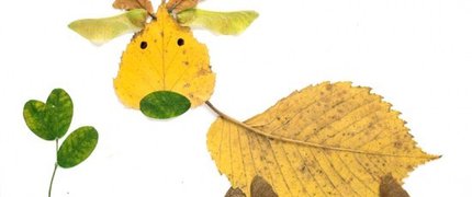 autumn crafts