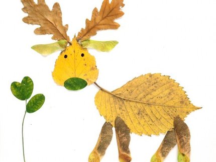 autumn crafts