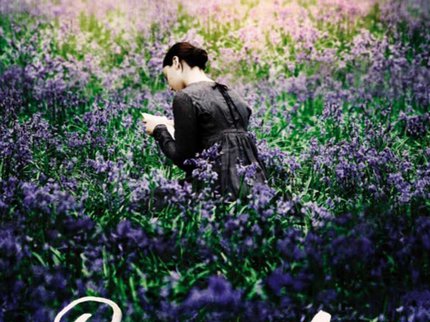 bright-star-poster_1.jpg