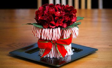 Christmas crafts