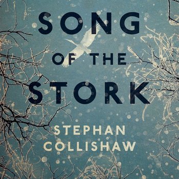 Book cover for Stephan Collishaw - The song of the stork
