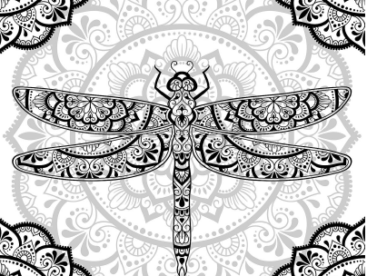 dragonfly