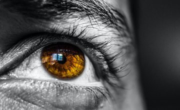 eye.jpg