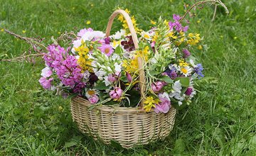 flower arranging summer.jpg