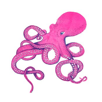 Illustration of an octopus. It is pink and it's tentacles are swirling around.