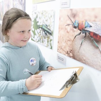 Girl holding a clipboard and copy drawing a photo of an insect featured in the 'Sherwood Forest Up Close' exhibition