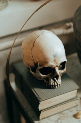 Skull and books