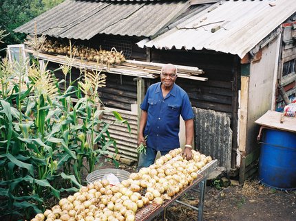 Henry tends his allotment at Hungerhill Gardens.
