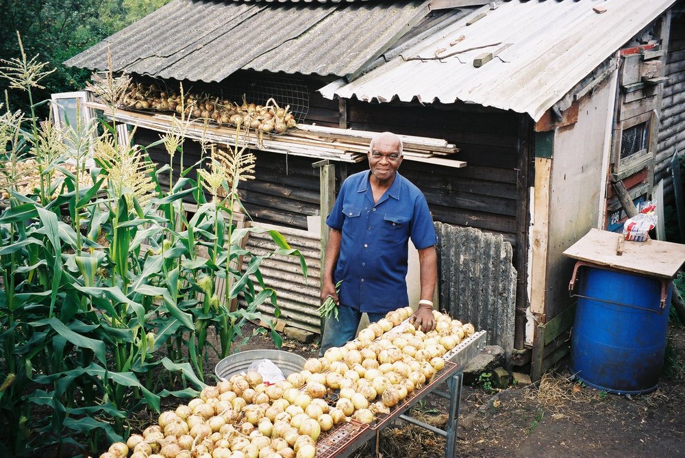 Henry tends his allotment at Hungerhill Gardens.