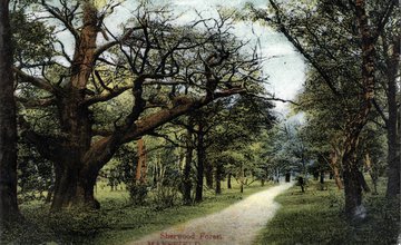 Sherwood Postcard