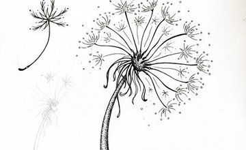Ink Drawing