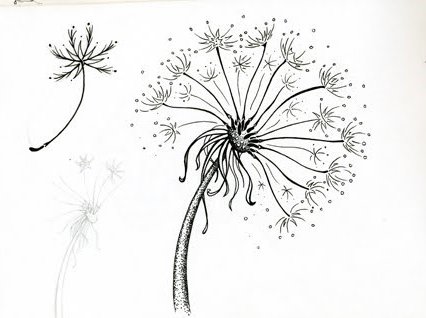 Ink Drawing
