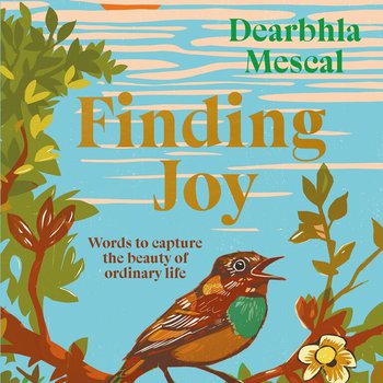Finding Joy by Dearbhla Mescal