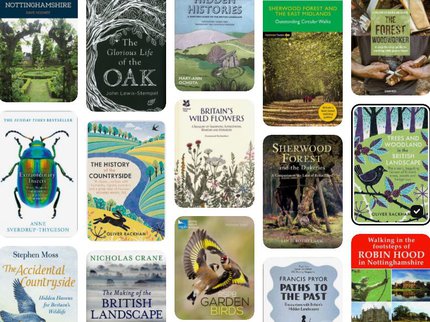 miner2major adults books