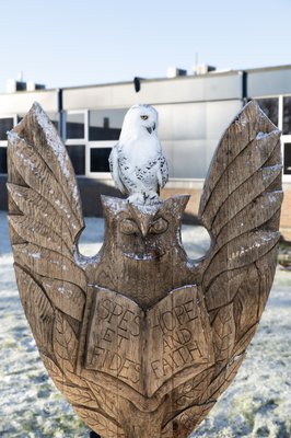 owl sculpture m2m portrait m2m joseph whitaker.jpg