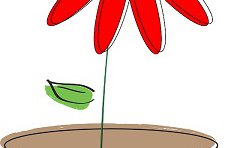 Flower pot