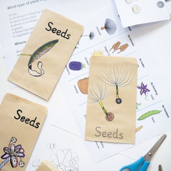 Three seed packets, and art supplies on a table