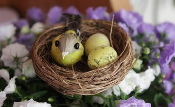 spring crafts