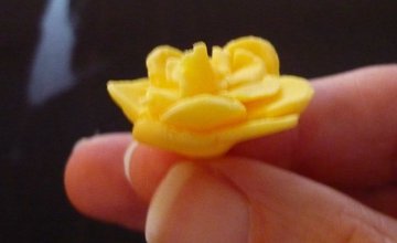 sugar rose