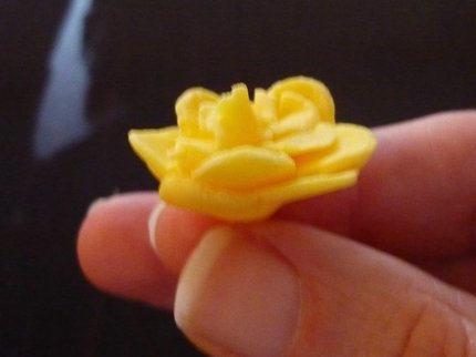 sugar rose