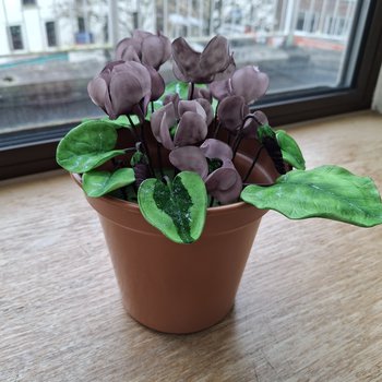 Sugarcraft cyclamen flowers from an inspire Learning course