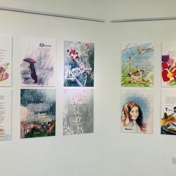 Exhibition panels on a gallery wall